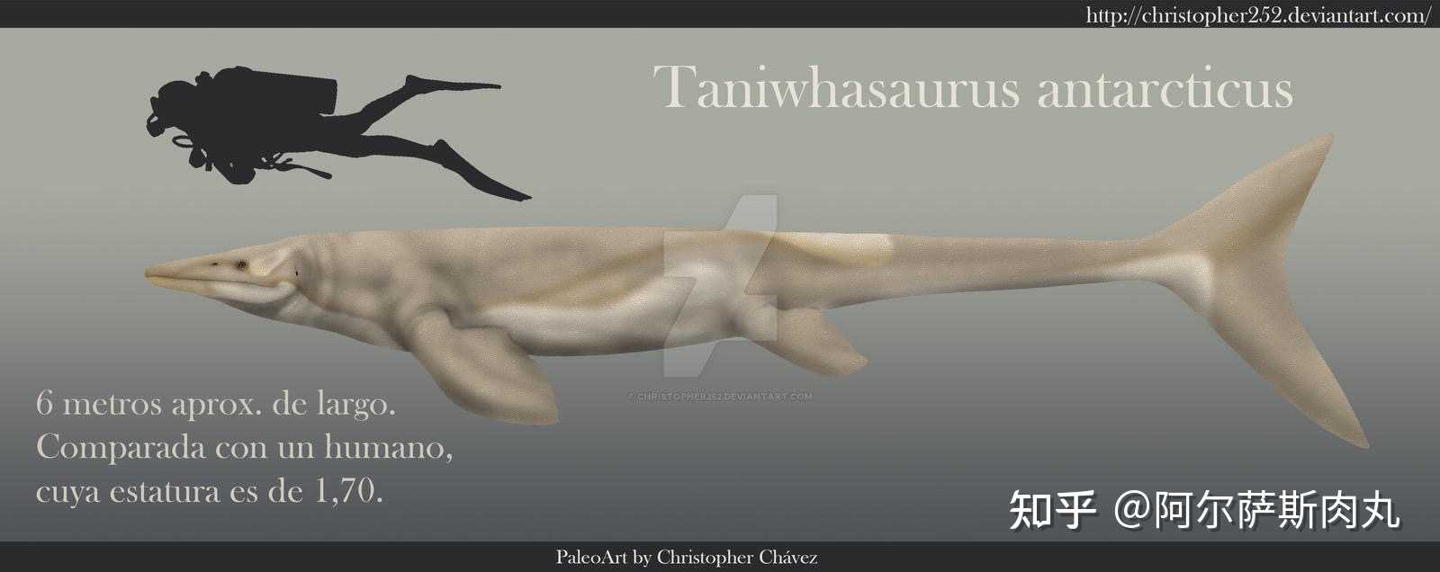 海怪海怪龙taniwhasaurus