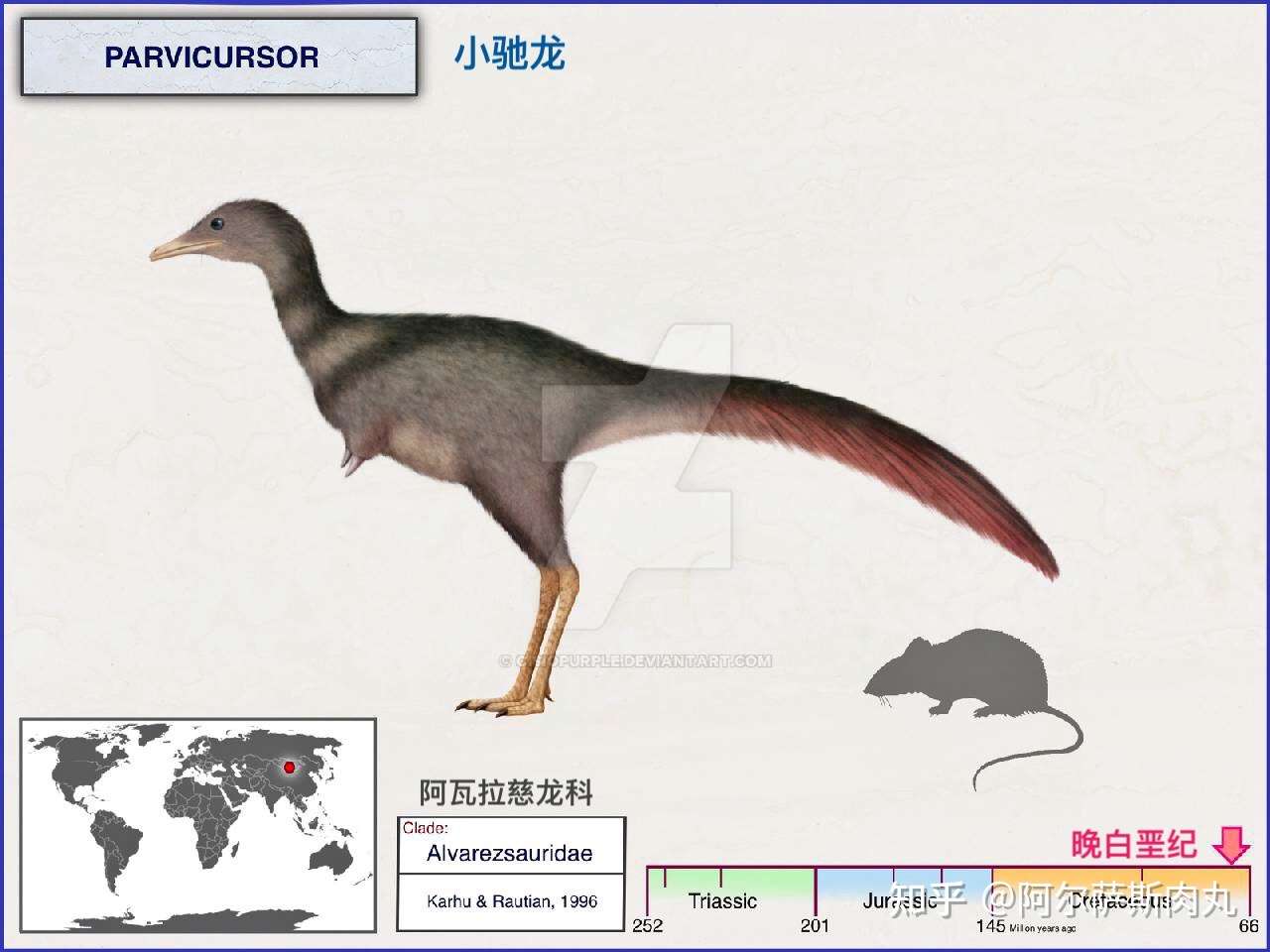 奔跑的小短手小驰龙parvicursor