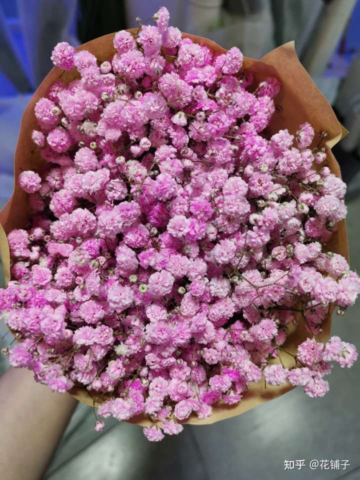 给男孩子送花 要送什么花 送什么花比较合适?