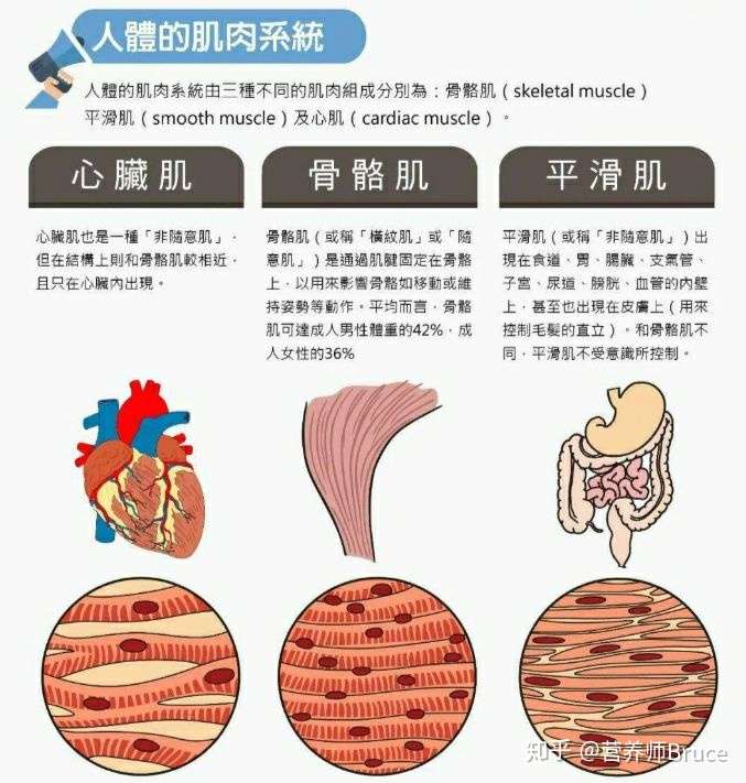 什么是横纹肌溶解症?