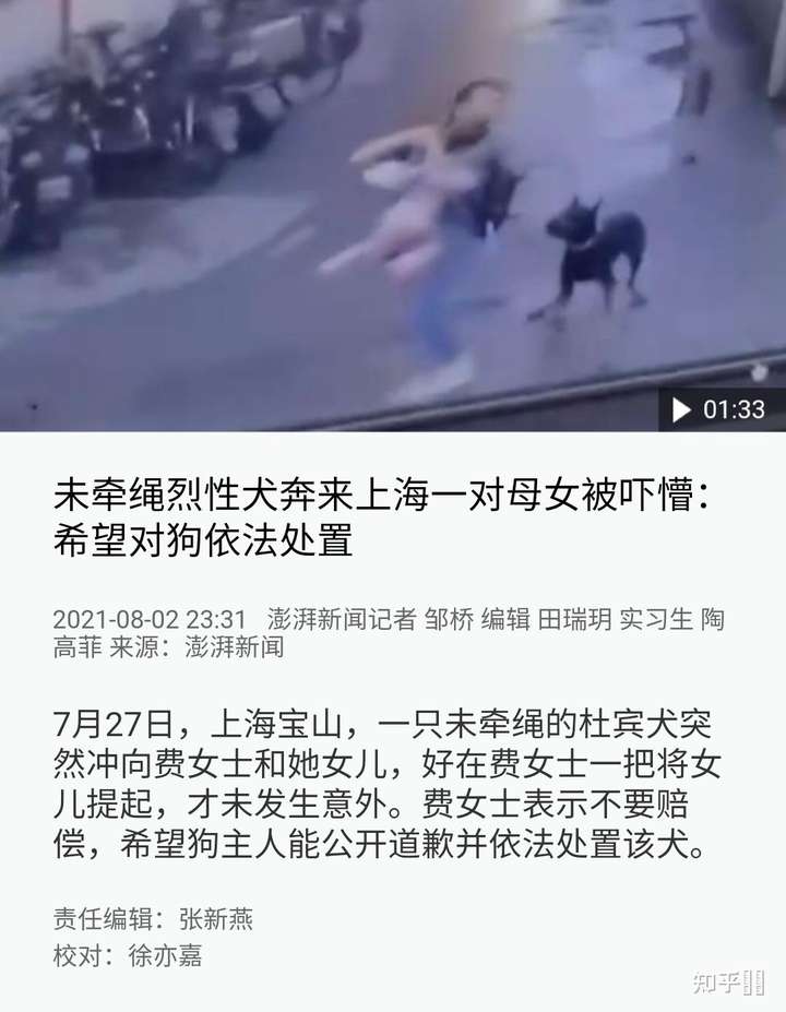 如何看待上海打狗队打击流浪狗?