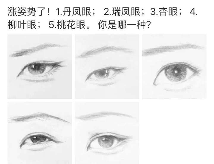 这个眼睛属于什么眼型?
