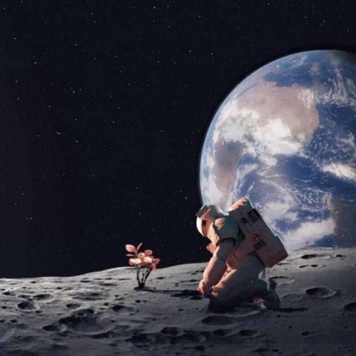 有哪些适合男生用的超级酷的微信头像
