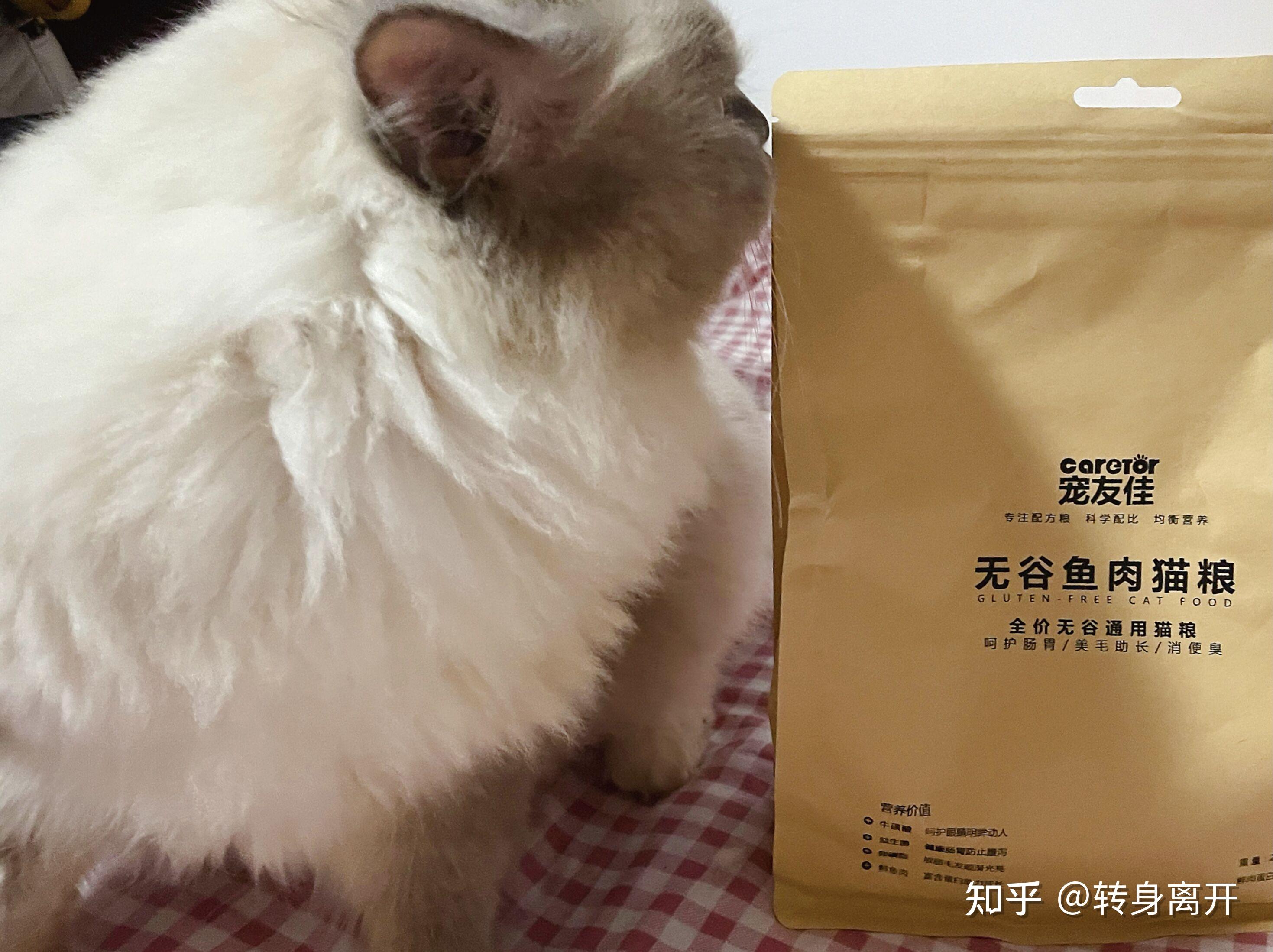 自制猫粮应该怎么搭配 知乎