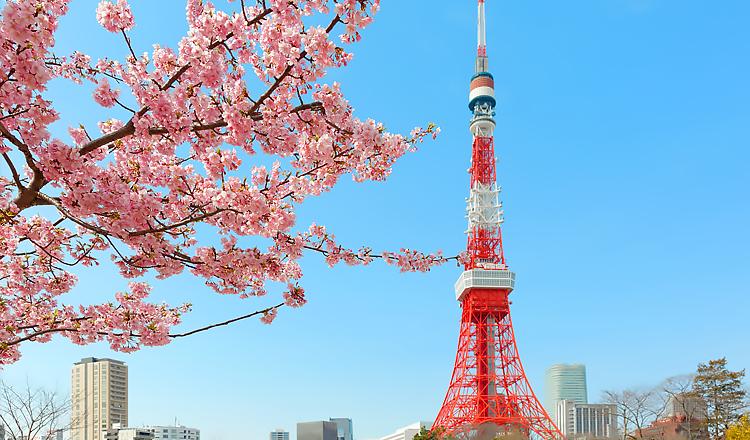 日本留学办理流程一览