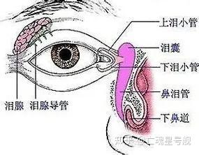 v2 137911de7d3df85774871a6358d2b73a 720w