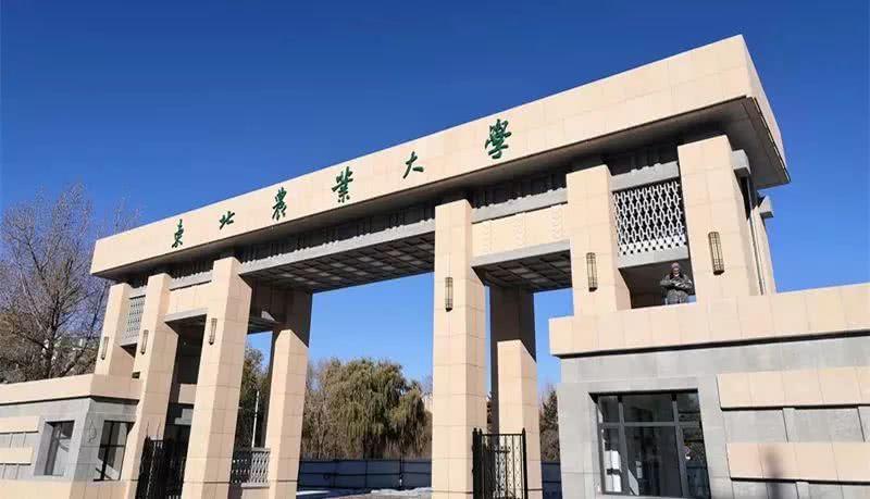 东北农业大学 知乎