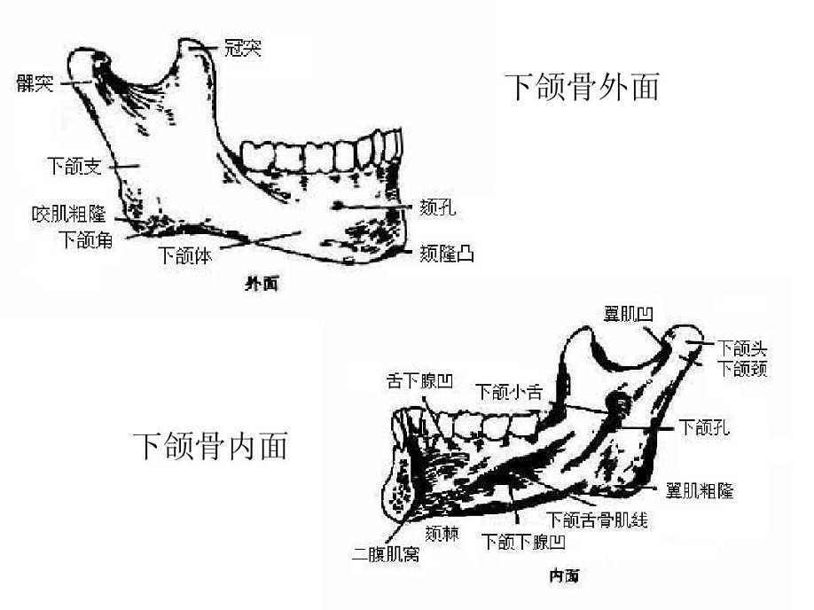 切完下颌角脸还是大那是因为你没有劈外板