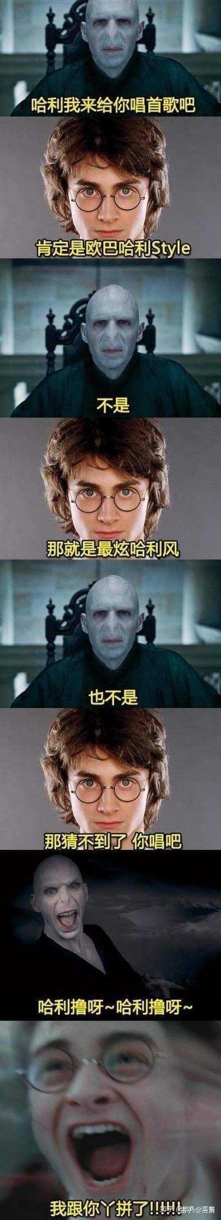 如果伏地魔是一个沙雕会怎么样