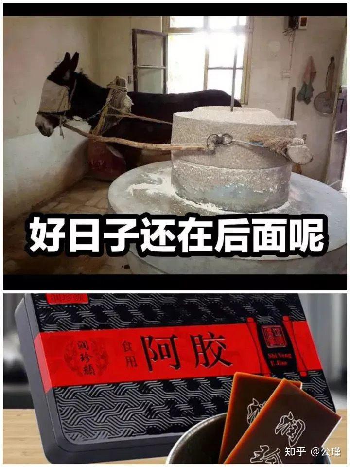 好日子还在后头呢是什么梗