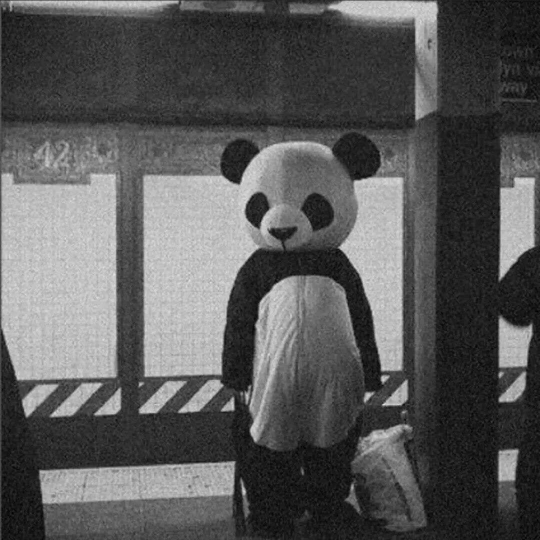 有哪些丧里丧气的头像