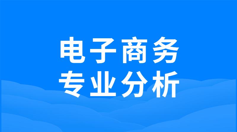 电子商务国际商务电子商务及法律专业分析