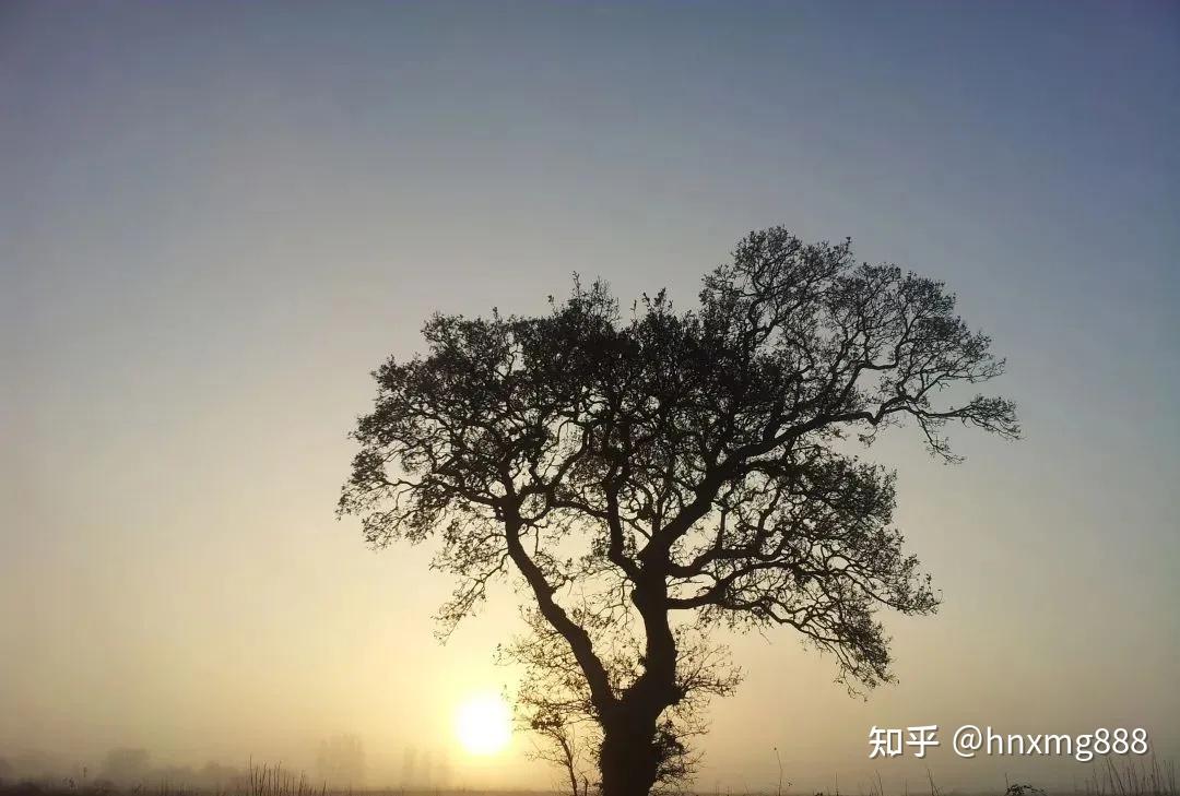 高情商的表现是处事圆滑世故吗