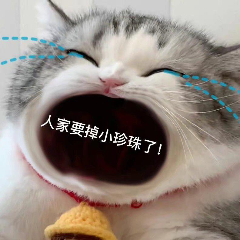 人家要掉小珍珠了猫猫表情包原作者是谁啊我丢找了好久