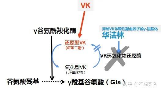 v2 5902d5ea38f89bcdb3424c902e5a873e 720w