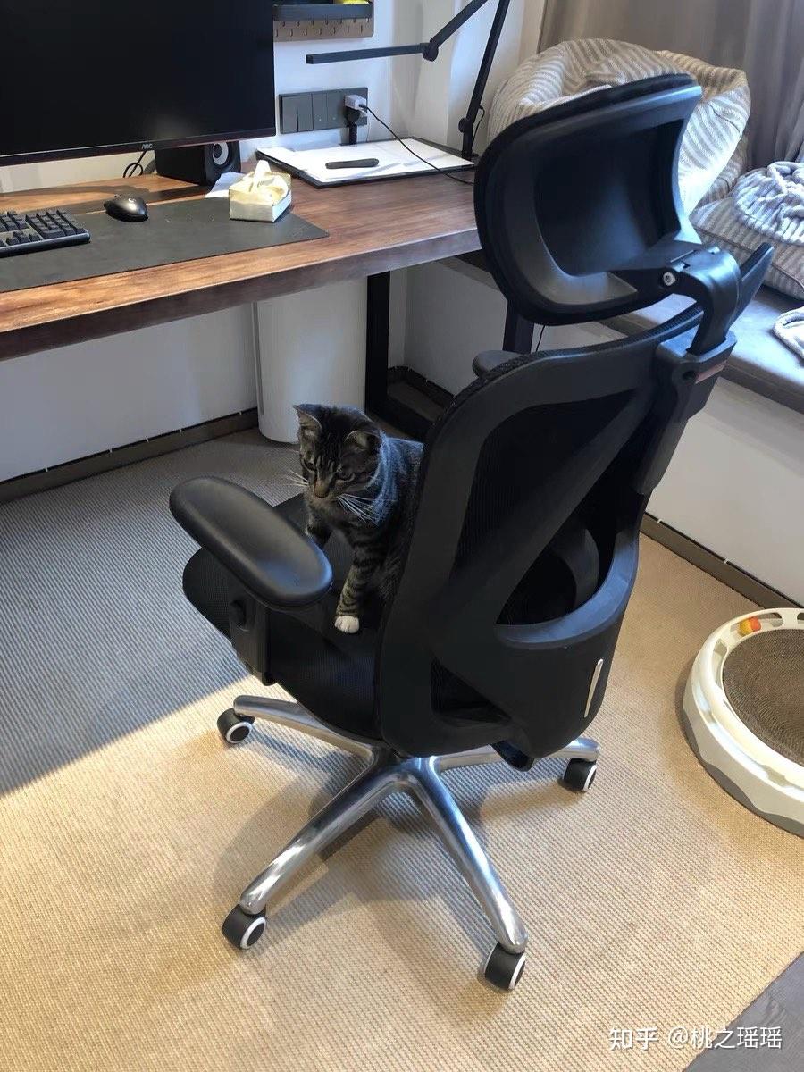 上班族长期久坐办公室有哪些适合的椅子推荐