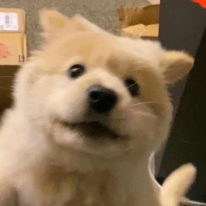 有没有一看就让人很惊艳的微信头像?