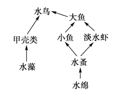 v2 6156d4dabacb4ebb8dba339cde4daee0 720w