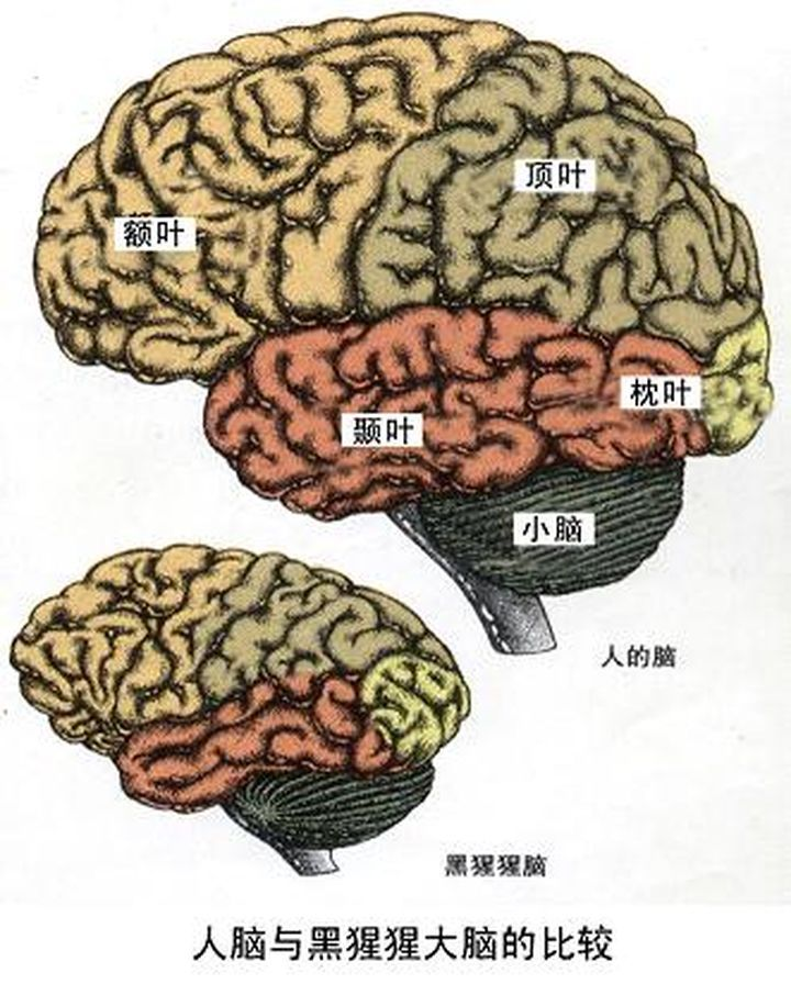v2 6371ae26402916e5d6469aa692c1f630 720w