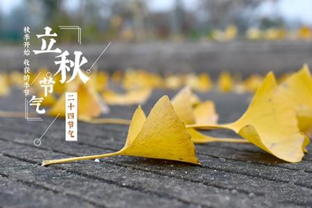 立秋丨风湿骨病患者应积极预防,度过