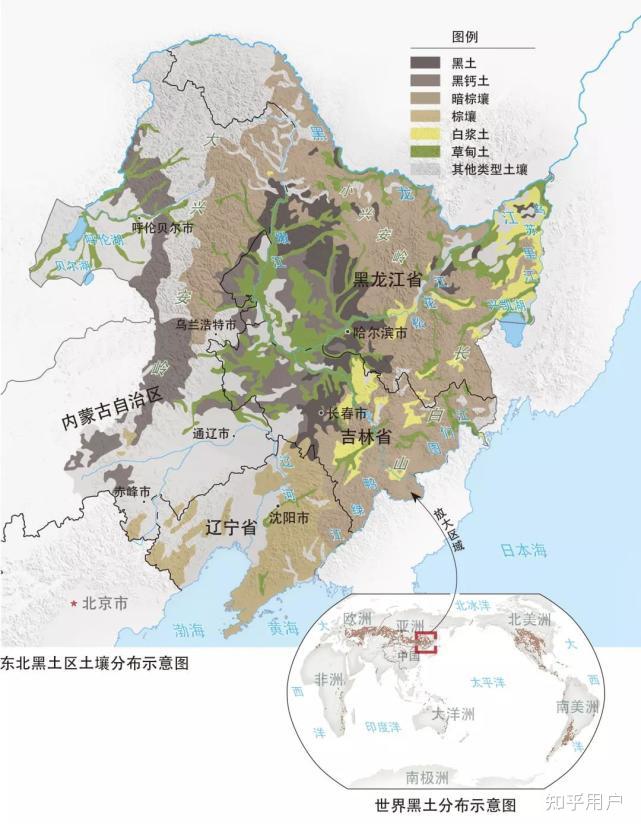 谁能讲一下外东北有没有黑土地都具体分布哪里另外黑龙江中下游有平原