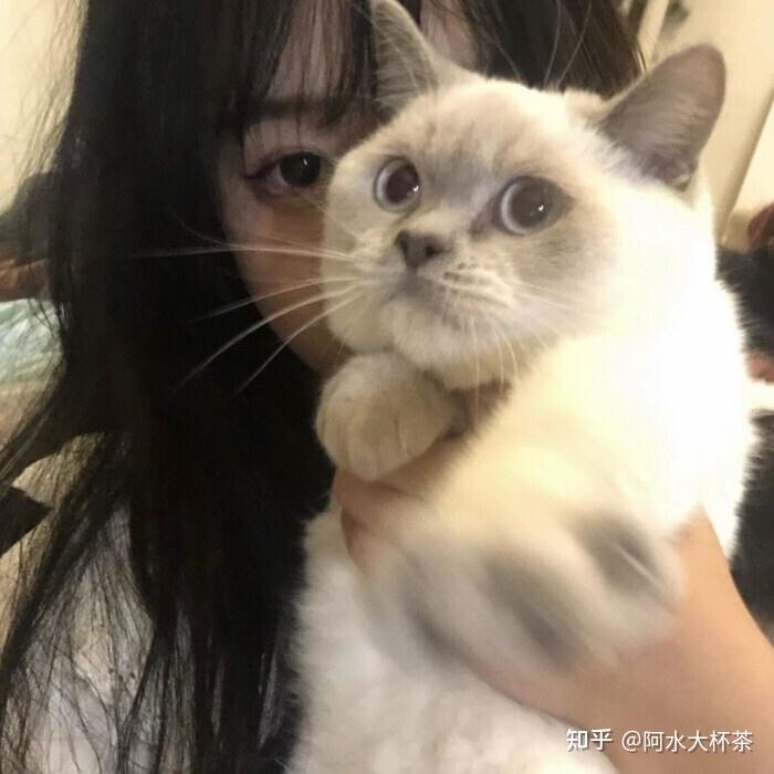 有好看的女生头像推荐吗