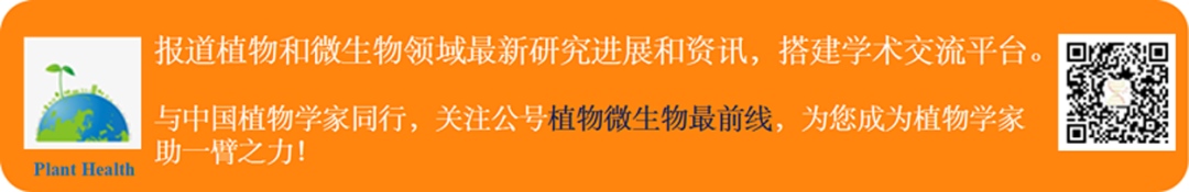 Cell 打破现有认知北京大学钟上威团队揭示植物光温受体phyB的入核调控机制 知乎