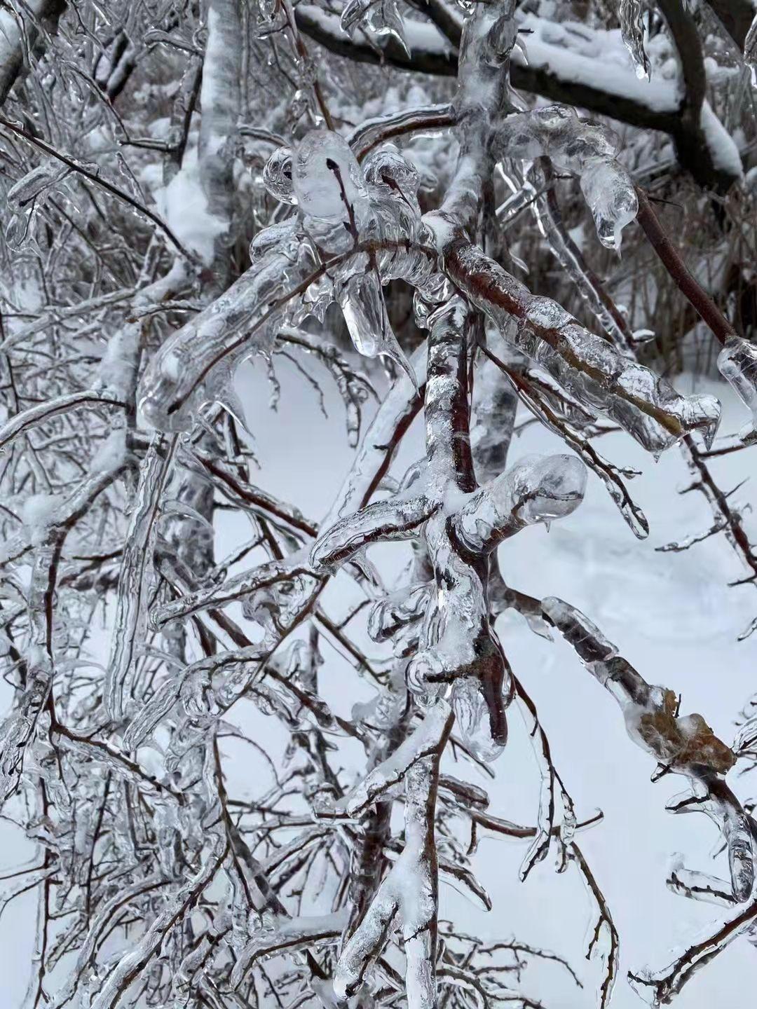 东北出现特大暴雪天气目前的供暖情况如何寒冷天气能够保障暖气供给吗