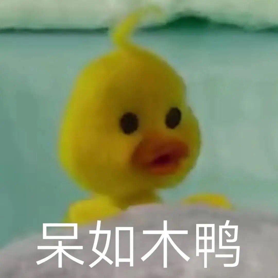 有这种小黄鸭的表情包么谢谢