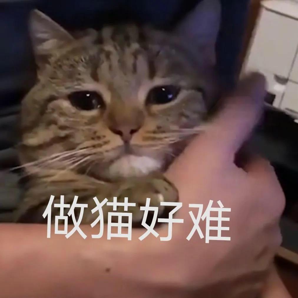 有没有关于英雄联盟手游的朋友圈沙雕文案