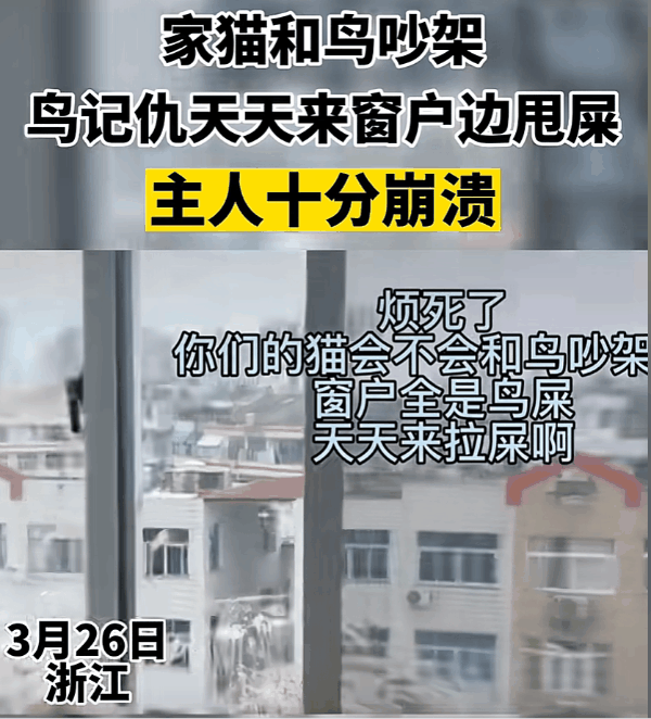 v2 7db1a608c48acb0c7fc906ef418094d1 720w