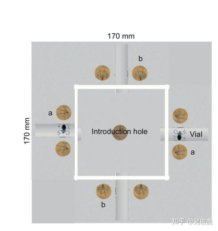 v2 8d354ec8502e7dbfc276fdebb6486225 720w