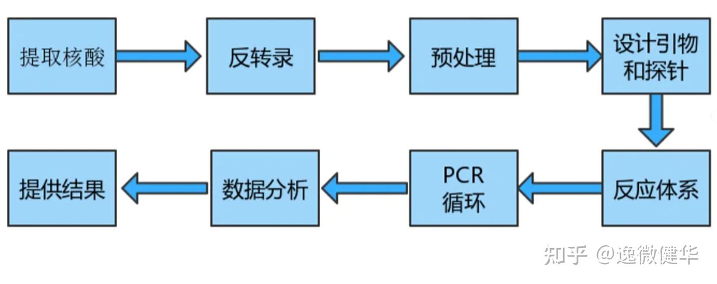 Qpcr