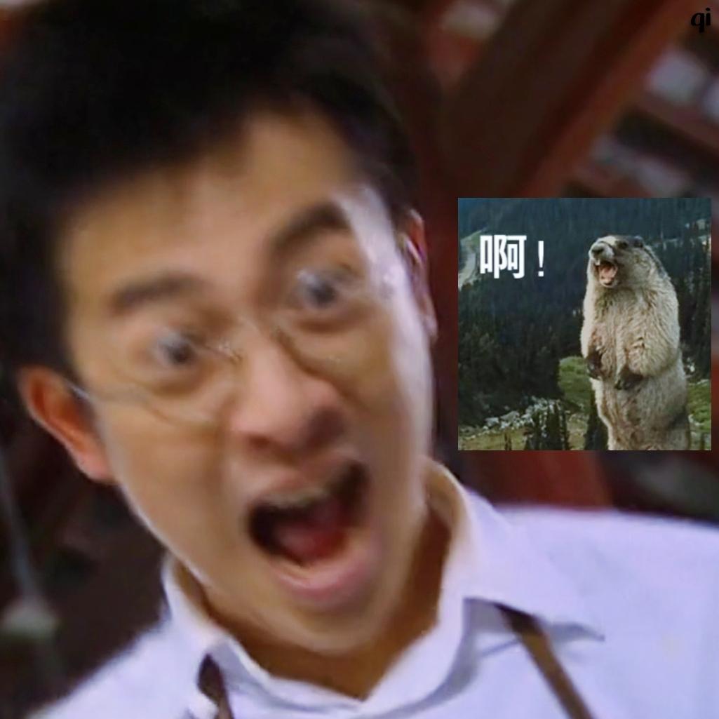 写文章