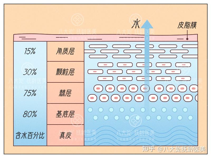 肌肤如何深层补水