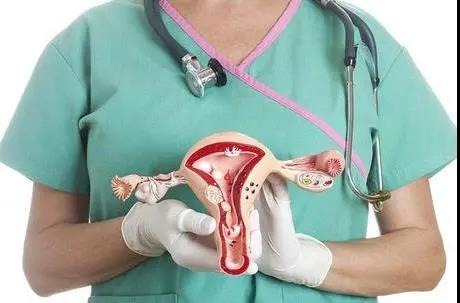 做试管婴儿,什么样的子宫内膜适合移植着床怀孕?
