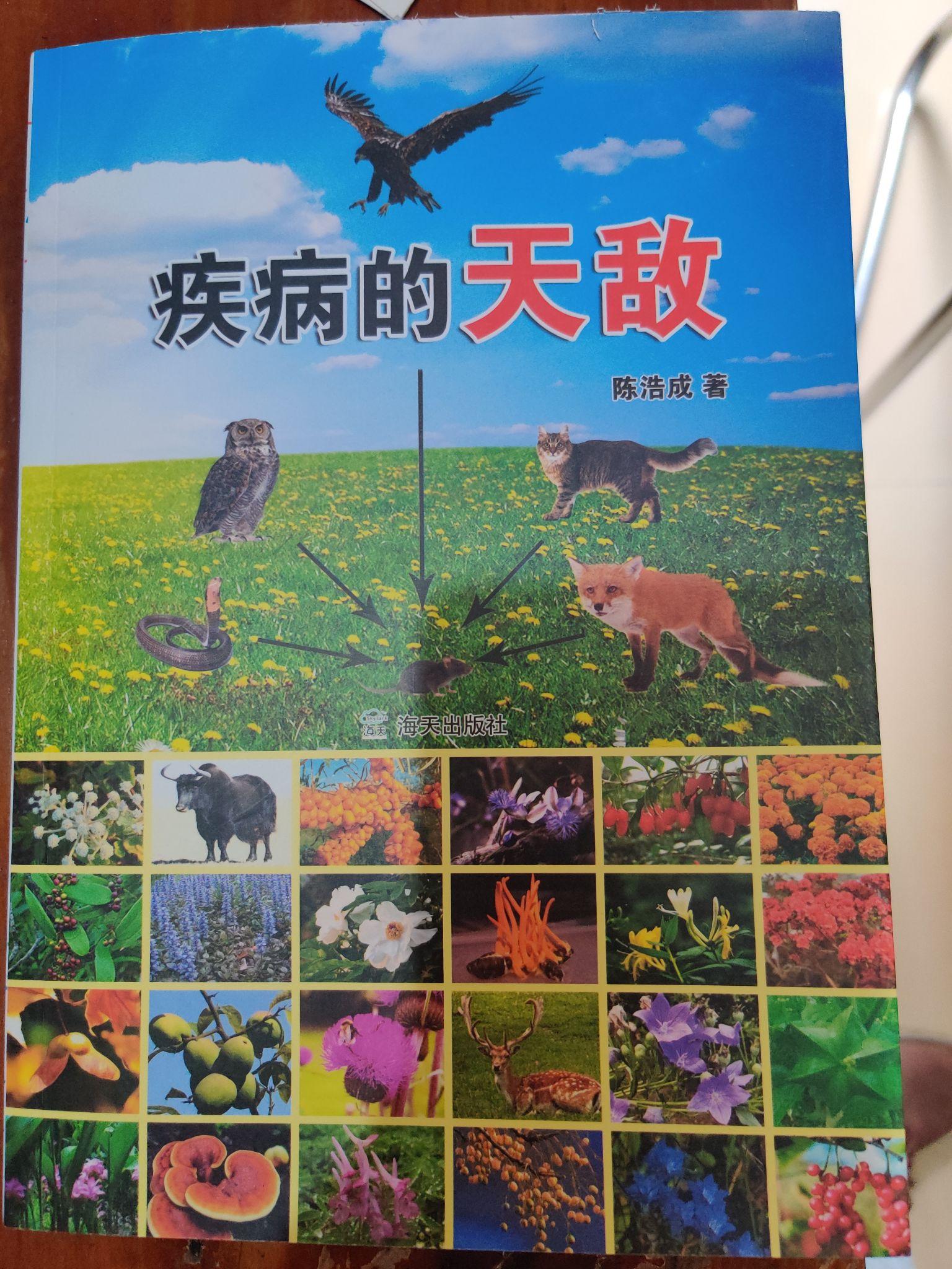 生物时代陈浩成牛髓粉是真的吗