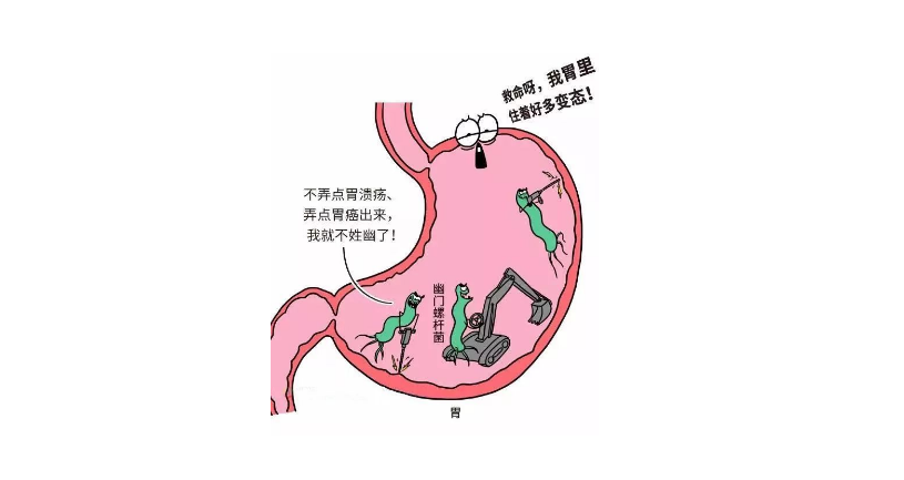 幽门螺杆菌传染性有多强?一人感染,传染全家!