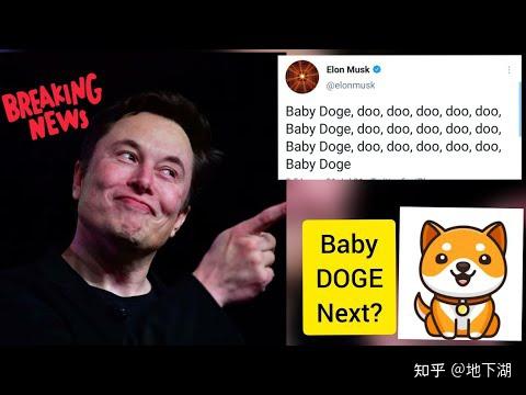 babydoge是已经归零了吗