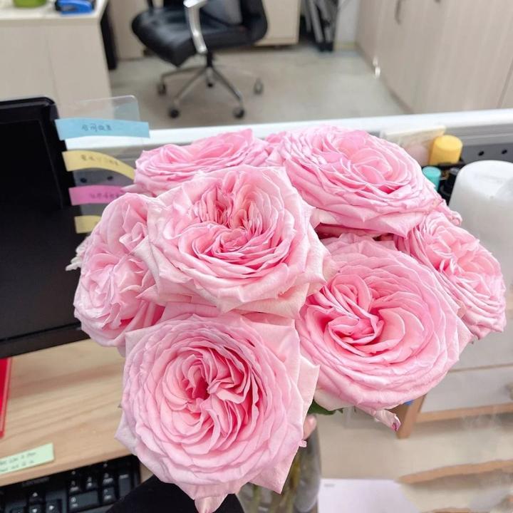 壁纸 花 花束 鲜花 720_720