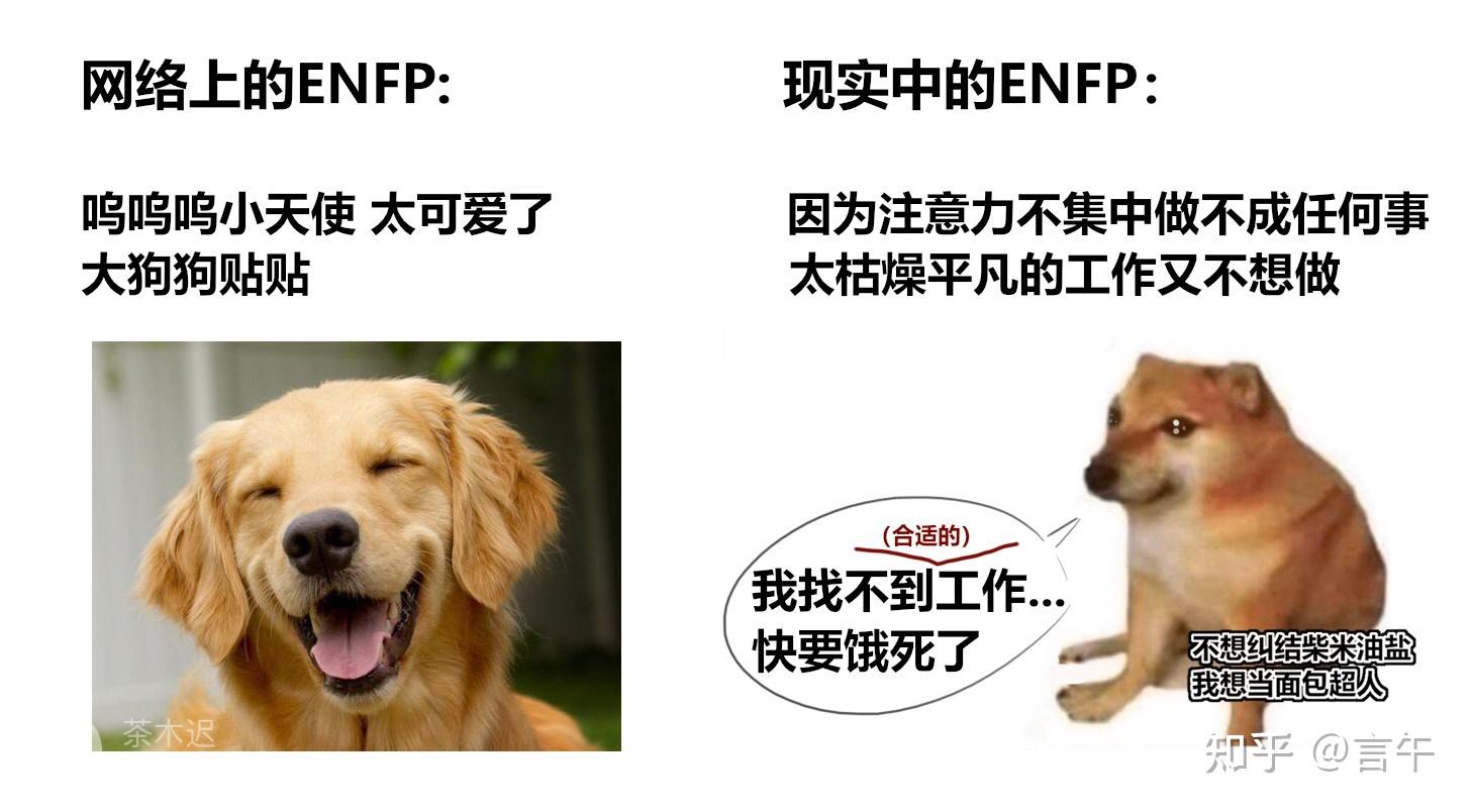 可不可以分享一些关于enfp的meme真烦人我不想加问号但是还是得加