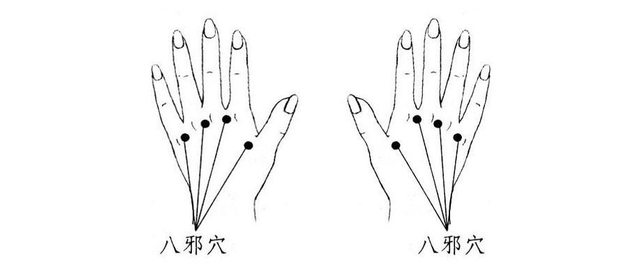 八邪穴的准确位置图及作用功效