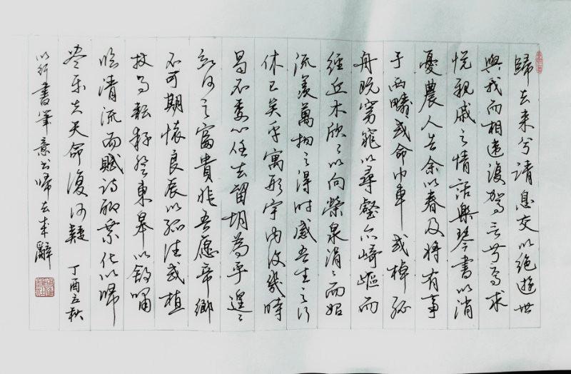 陶渊明《归去来兮辞》手写钢笔字笔友钢笔书法习作欣赏