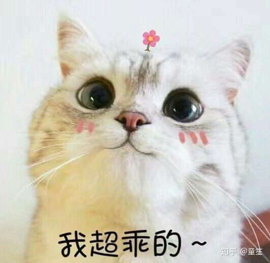 有没有什么有趣萌萌的表情包