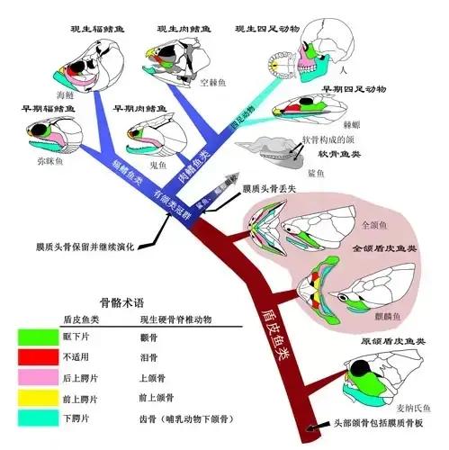 v2 c9a2309d2558d389cd74dd17236ab7bb 720w