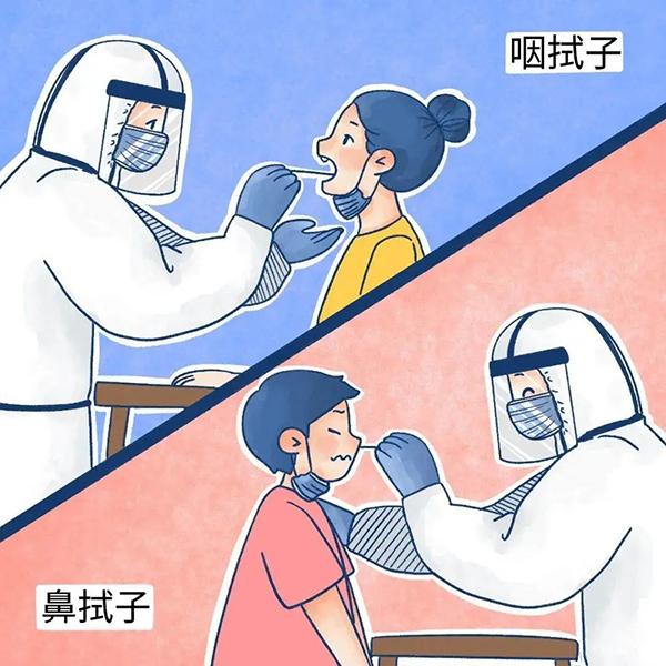 什么是咽拭子?核酸检测为什么是咽拭子?