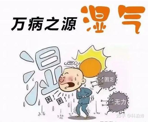 怎么去湿气和寒气