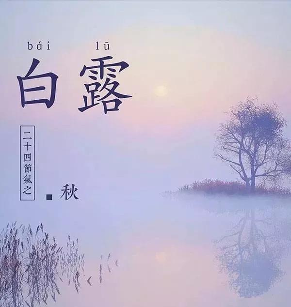 蒹葭苍苍白露为霜