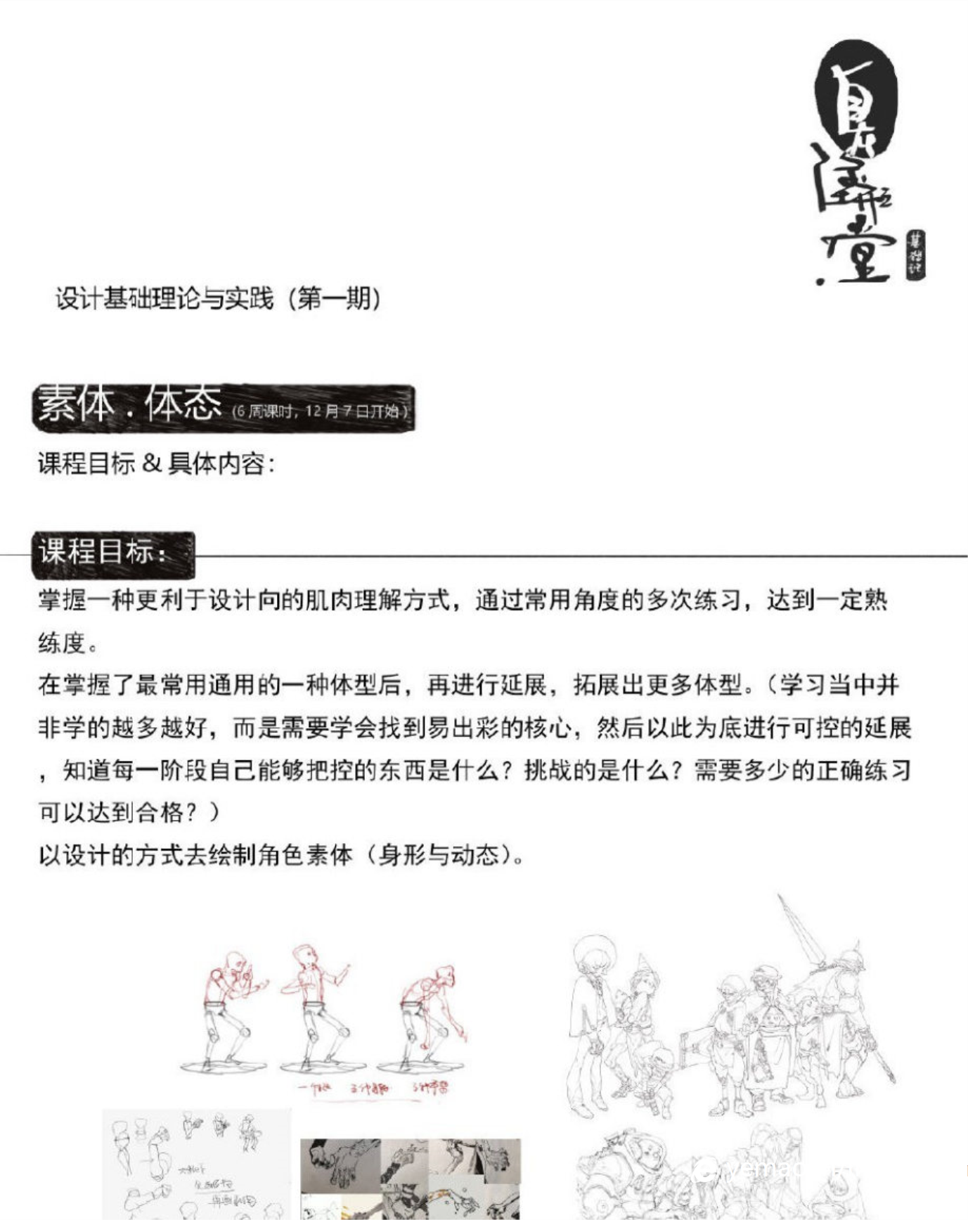 蚂蚁八手王素体体态2022有课件