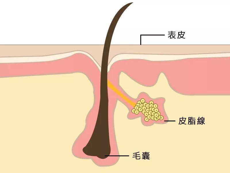 全国十大植发医院和价格排名表